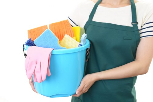 Carpet cleaning service in progress in a domestic interior