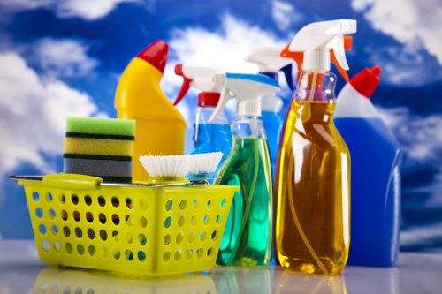 Professional window cleaning for homes in E5