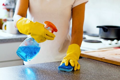 Thorough cleaning of office kitchens and washrooms in E5