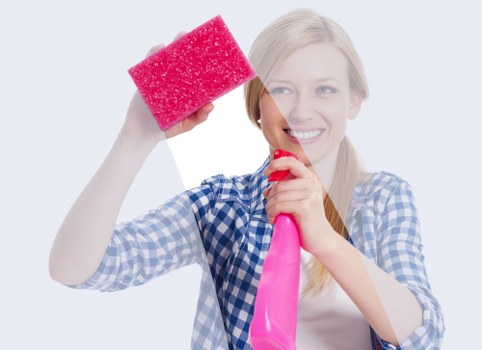 Local team carrying out professional cleaning in a shop or office