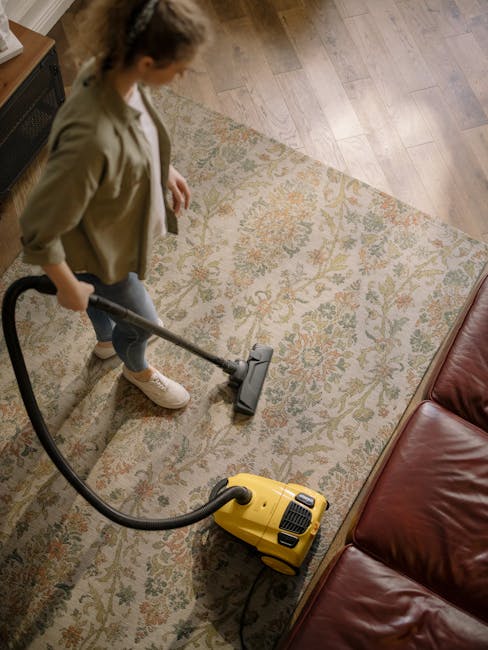 Same day carpet cleaning delays and solutions in E5